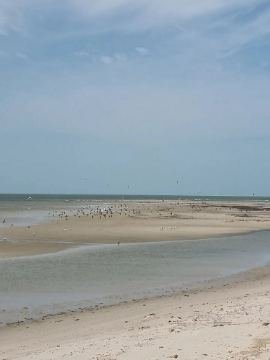Chinguetti &amp; Banc d'Arguin — photo 4